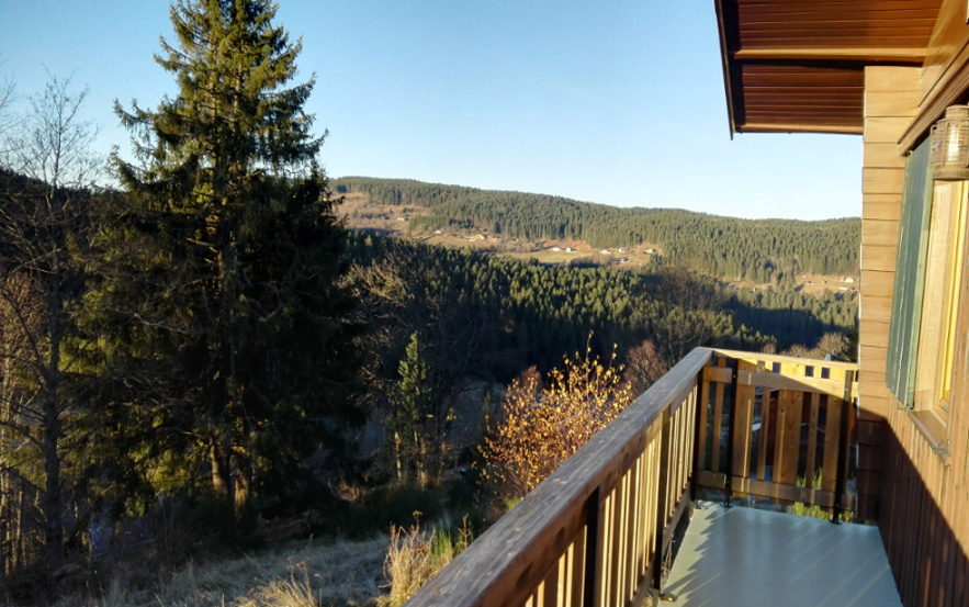 La forêt environnante vue depuis le balcon