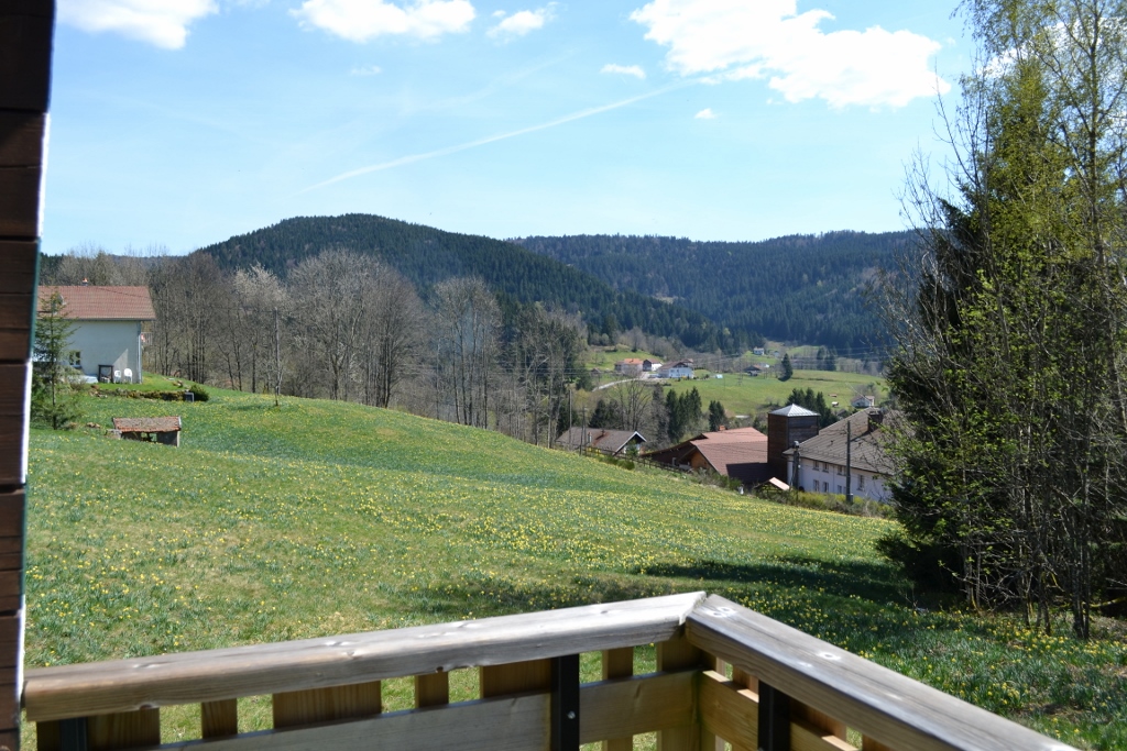 L’étendue d’herbe en été vue depuis le balcon