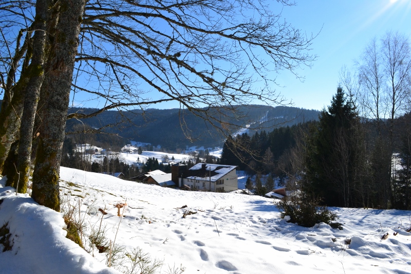 The chalet’s snowy surroundings